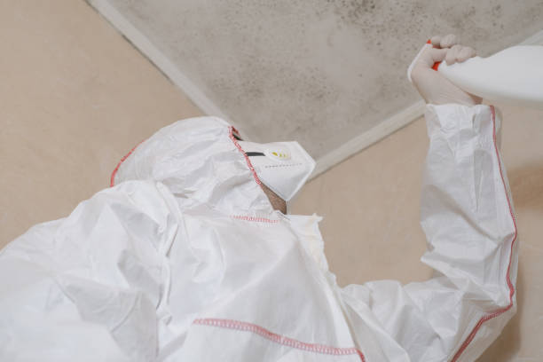 Mold Testing and Removal in Dawson, TX