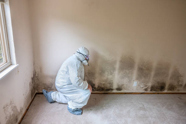 Best Mold Testing  in Dawson, TX