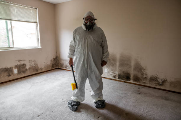 Best Commercial Mold Removal  in Dawson, TX